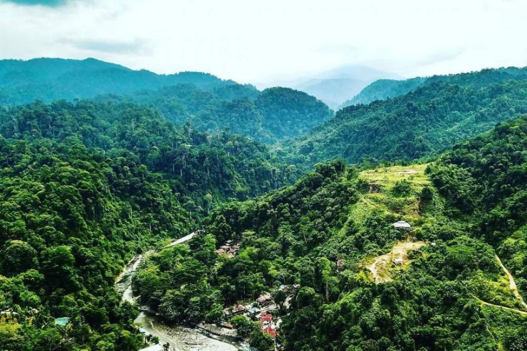Dollar Village Tour, Lake Toba, Piso-Piso WaterFall, Berastagi, Bukit Lawang, Tangkahan